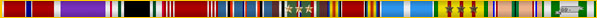 Seperator bar of eleven military award ribbons